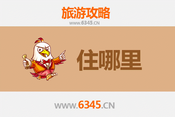安阳滑县民宿全攻略：古韵与现代的完美交融